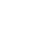 3aa shield